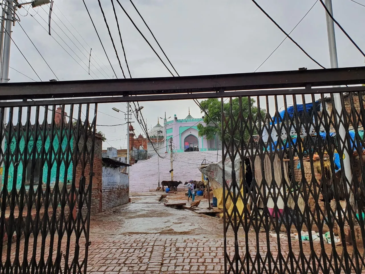 Did the Allahabad HC Dismiss the Plea to Classify Shahi Idgah Mosque as Disputed?