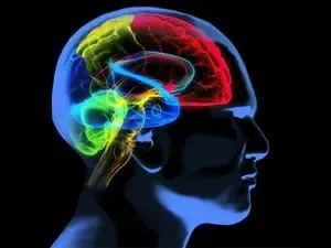 Breakthrough in Alzheimer’s Research: Key Protein's Role Unveiled