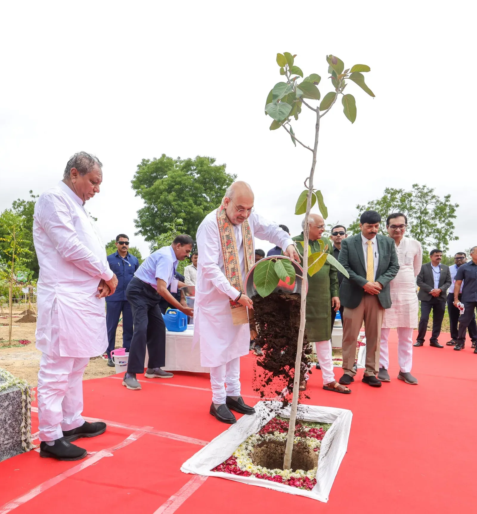 Amit Shah Plants Trees in Gandhinagar's Thalte Ward