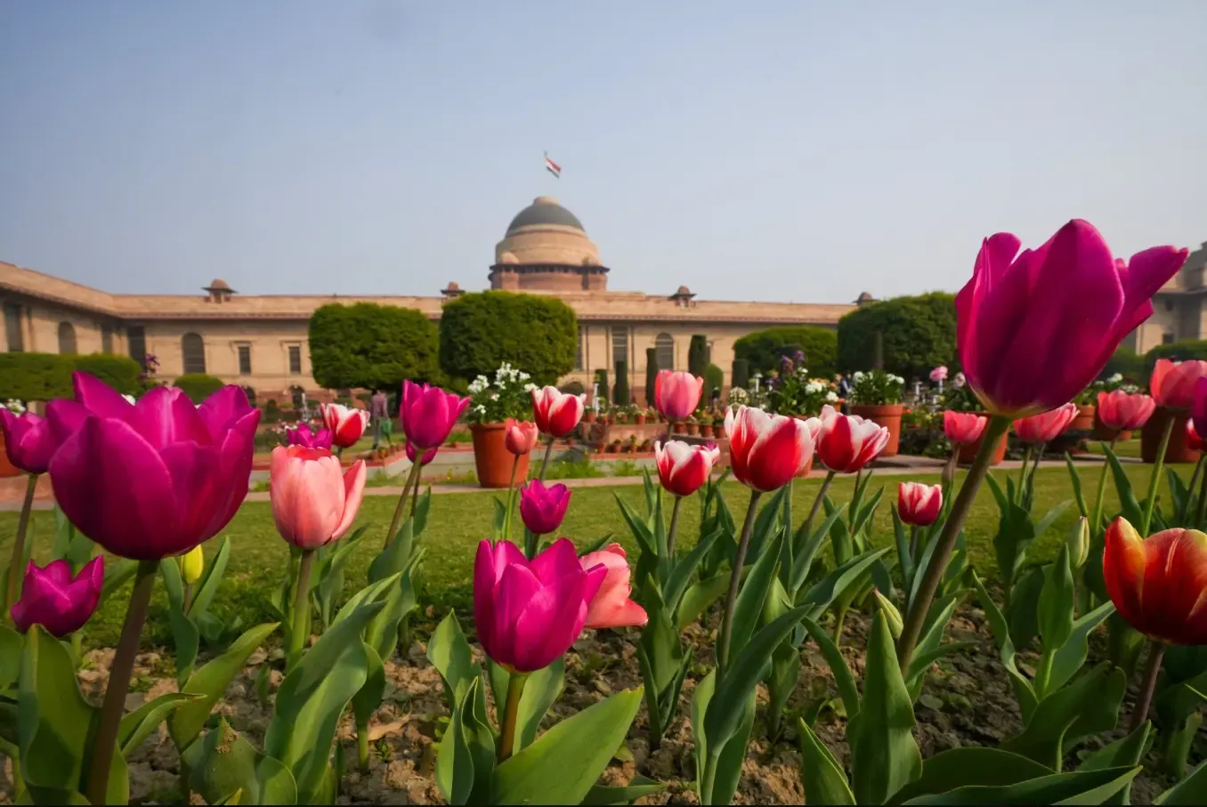 Amrit Udyan at Rashtrapati Bhawan Now Open to the Public