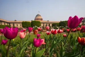 Amrit Udyan at Rashtrapati Bhawan Now Open to the Public