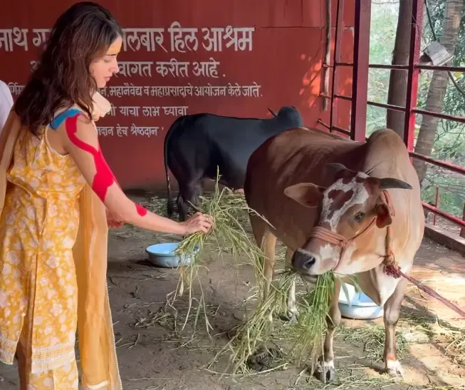 Did Ananya Panday Perform 'Gau Seva' at a Lord Shiva Temple?