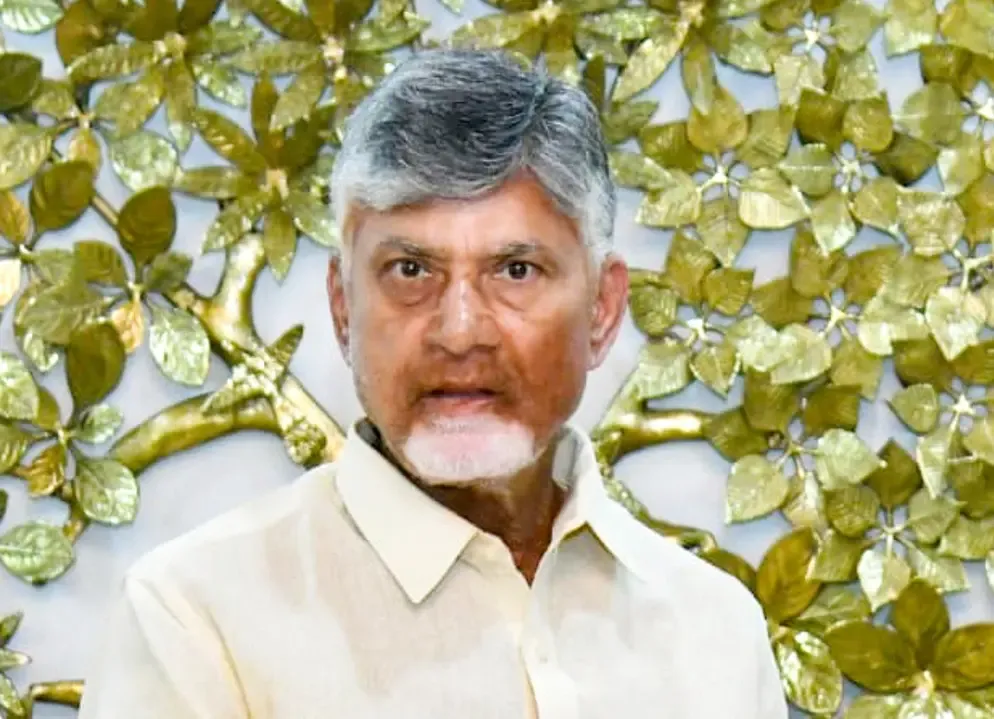 How Did Andhra Pradesh Secure 25.3% of Proposed Investments in India?