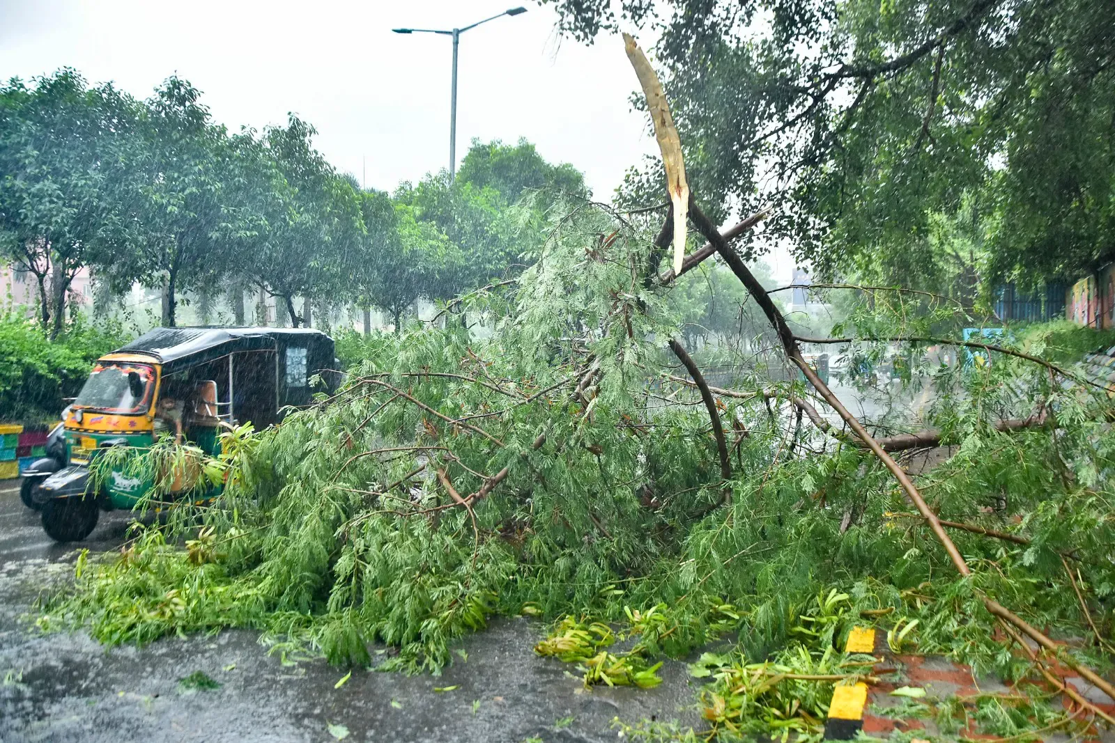 Cyclone Arnab: 7-member Central team to assess damage in Andhra Pradesh this weekend