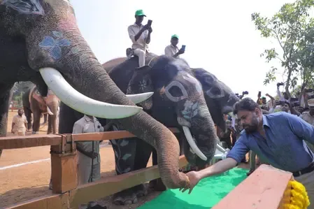 Andhra Dy CM Pawan Kalyan launches Kumki elephant training centre