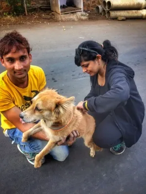 Anti-rabies vaccine available in nearly four-fifths of public health facilities in India: Lancet