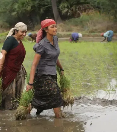 क्या अनुपमा परमेश्वरन ने 'बाइसन' की सफलता पर टीम का धन्यवाद किया?