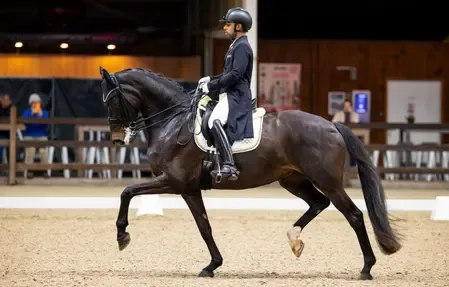 Anush Agarwalla Shines in International Debut at Belgium Dressage Events