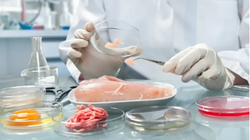 Rising Demand for Cultured Meat in the APAC Region: Latest Insights