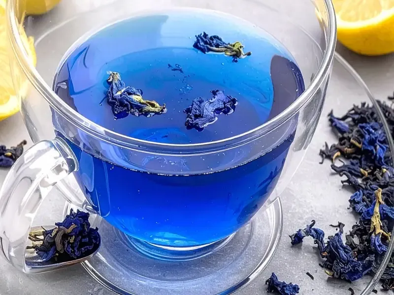 क्या अपराजिता के फूल से बनी चाय सिर दर्द और नींद की समस्या का समाधान कर सकती है?