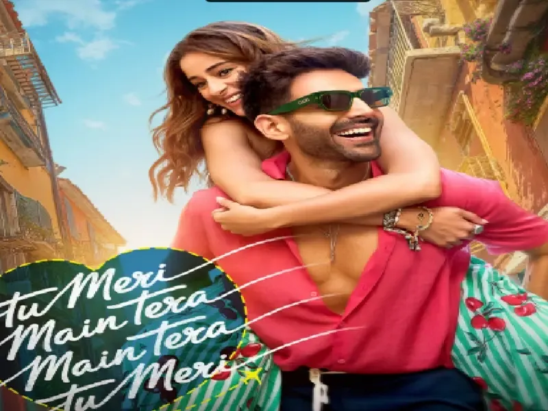 क्या कार्तिक आर्यन ने अपने बर्थडे पर फैंस को तोहफा दिया?