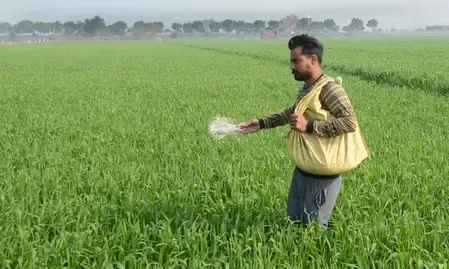 Has the Area Sown Under Rabi Crops Surpassed 614 Lakh Hectares?