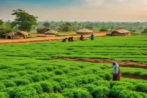 Area sown under rabi crops rises to 614.94 lakh hectares