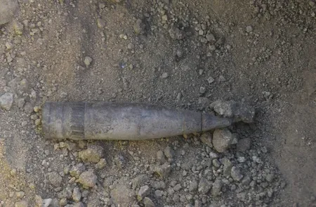 Army destroys live mortar shell near LoC in J&K's Poonch district