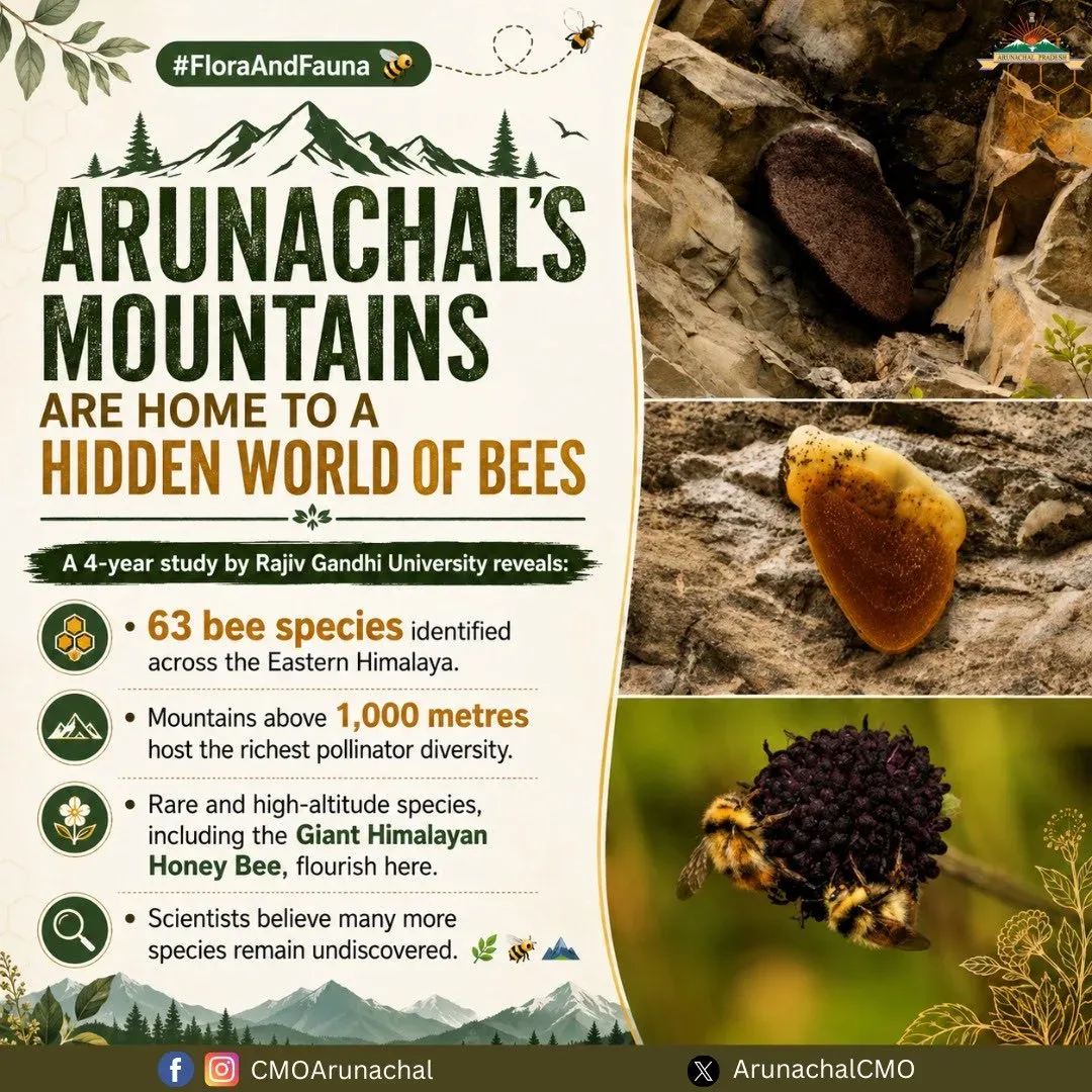 Arunachal CMO highlights 63 bee species found in Eastern Himalaya