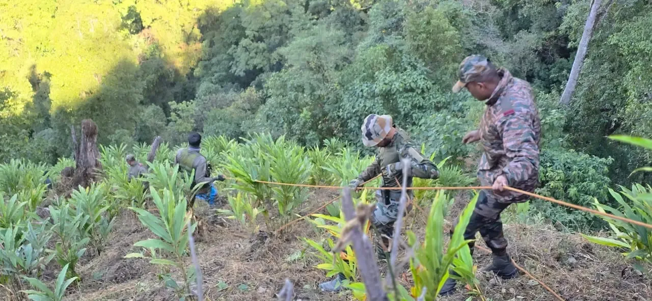 What Happened in the Arunachal Truck Accident? Search Operation Concluded with 20 Bodies Recovered