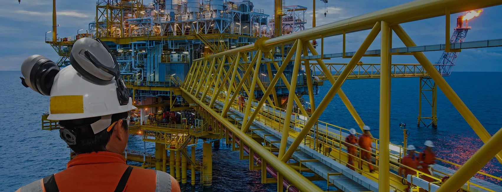 What caused Asian Energy Services' Q1 profit to plummet by 75%?
