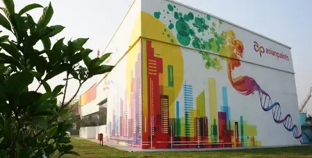 Why Did Asian Paints’ Q1 Net Profit Decline by 6.2%?