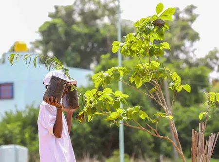 Assam's Brikhya Bandhu: 10 lakh students to plant one crore saplings by Independence Day