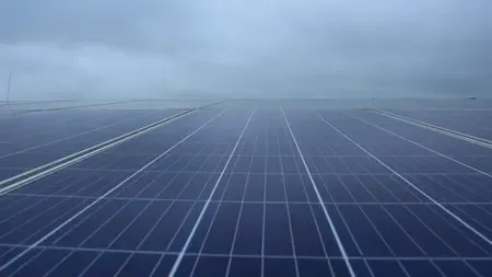 Is Assam Set to Generate 3,500 MW of Solar Energy by 2030?