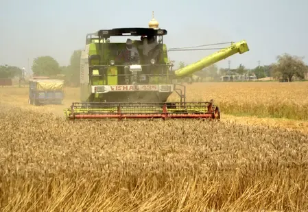 Why is Assam’s CM Celebrating India’s Record Food Grain Production?