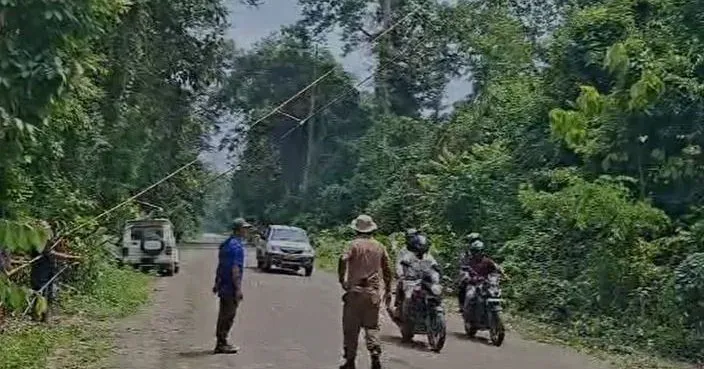 Assam CM Office: Canopy Bridges Aid Golden Langurs