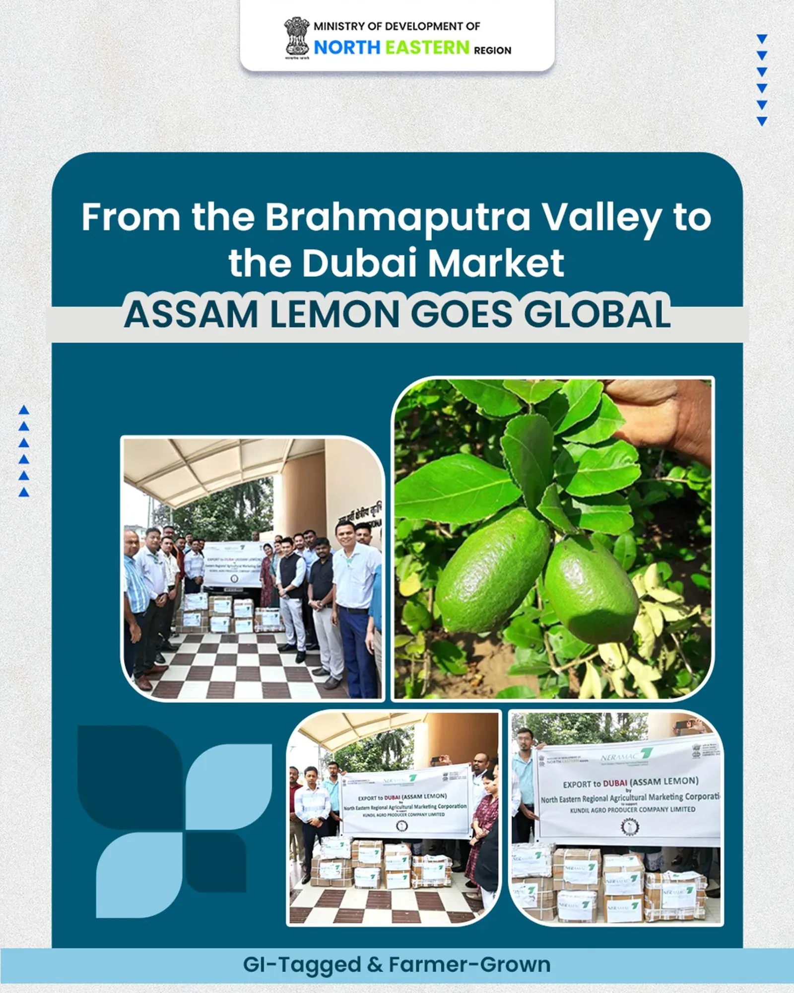 Assam CM Office: GI-tagged lemons now reaching Dubai