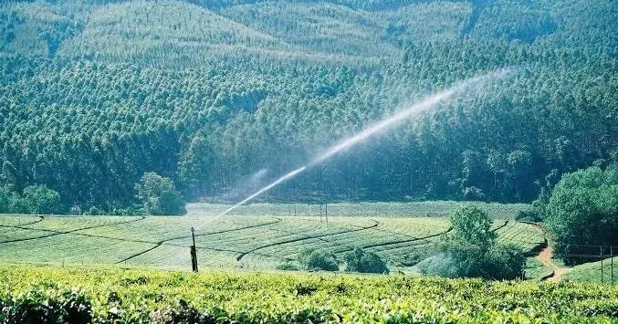 Assam CM Plans ₹4,000 Cr Pressurised Irrigation Network
