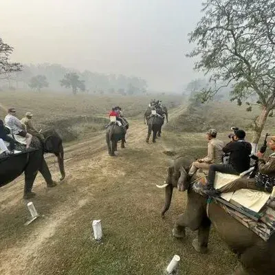 Assam CMO: Pobitora Sanctuary Earns Over Rs 81.5 Lakh in 2025-26