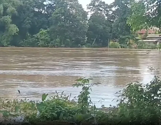 Assam floods: All ferry services to Majuli suspended as Brahmaputra rises