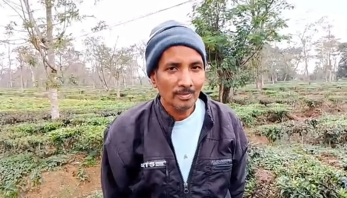 असम के चाय बागान श्रमिकों ने मोदी-सरमा सरकार को धन्यवाद दिया, पट्टा मिलने से भविष्य सुरक्षित