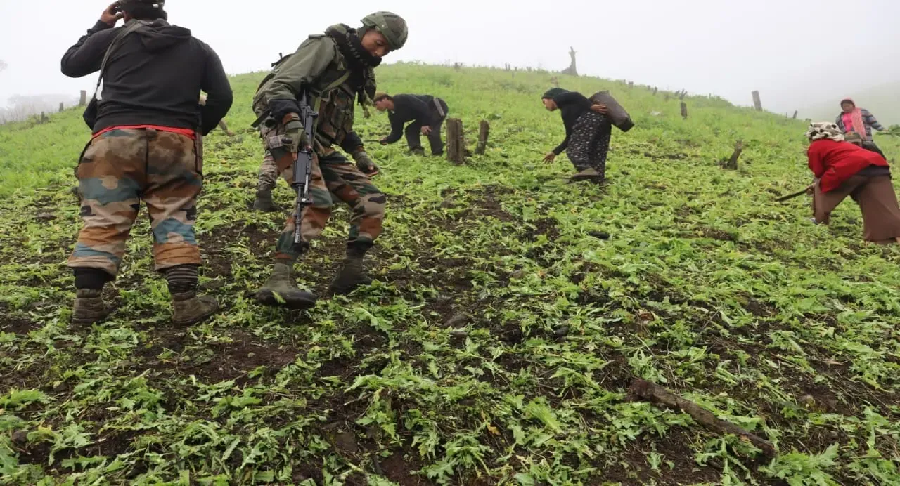 Assam Rifles and Police Eliminate Illegal Poppy Cultivation in Manipur