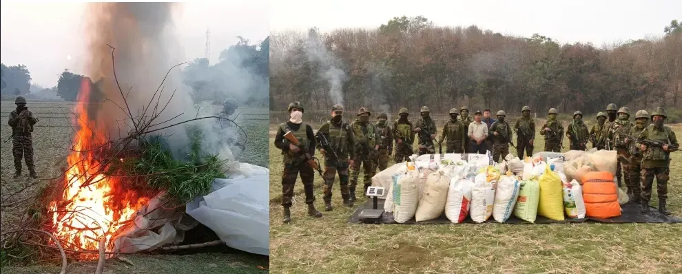 Assam Rifles and Tripura Police Uncover Drug Operations Valued at Rs 6 Crore