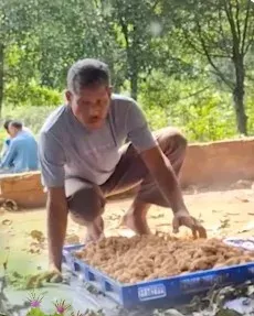 Assam Muga silk sericulture boosts rural livelihoods: CM Himanta Biswa Sarma