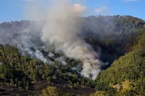 Tasmania's Bushfires: Evacuations Ordered as Danger Lurks