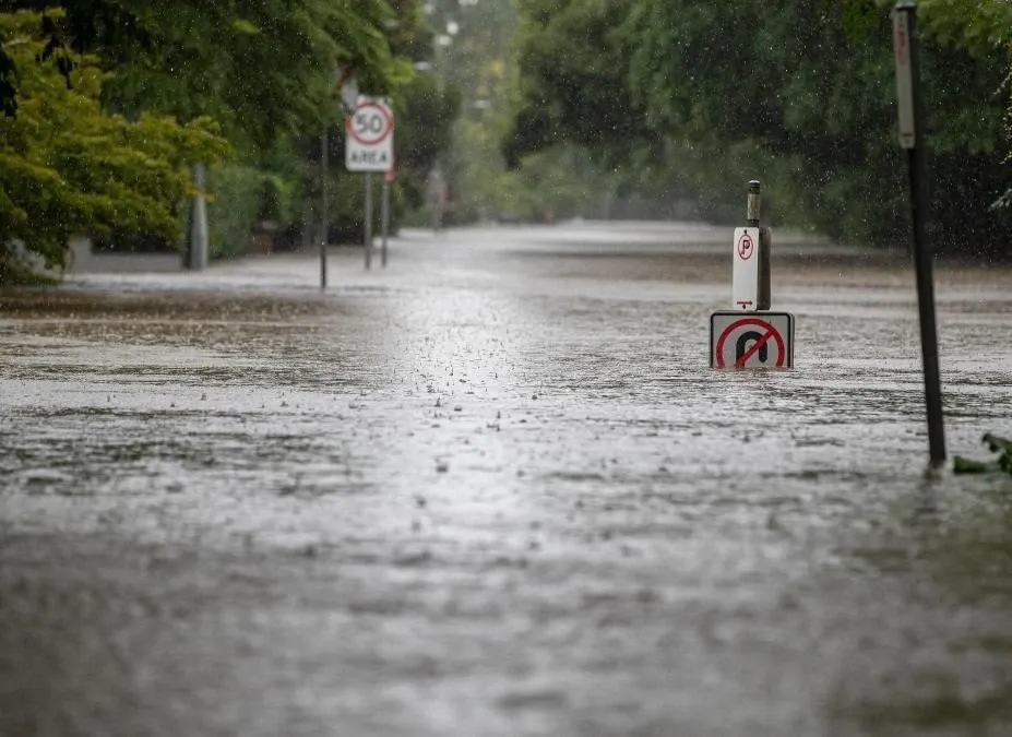 What is Happening in New South Wales as Flooding Forces Evacuations?