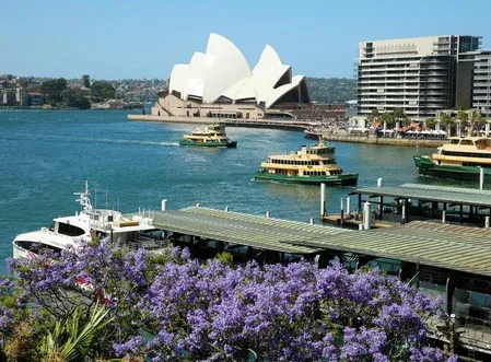 Australia electricity prices to fall up to 7.2% from July 1, says regulator