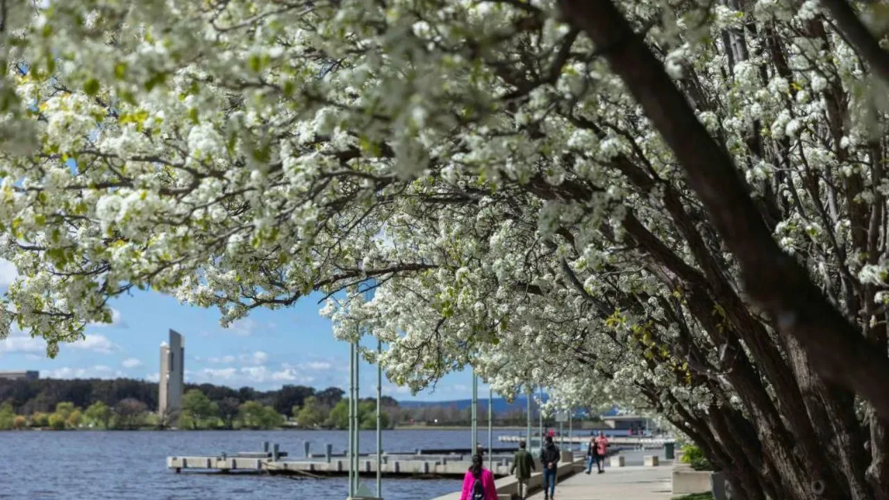 Australia sees hottest spring on record
