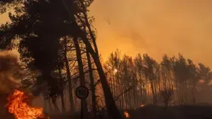 Evacuation Orders Issued Due to Bushfires in Victoria