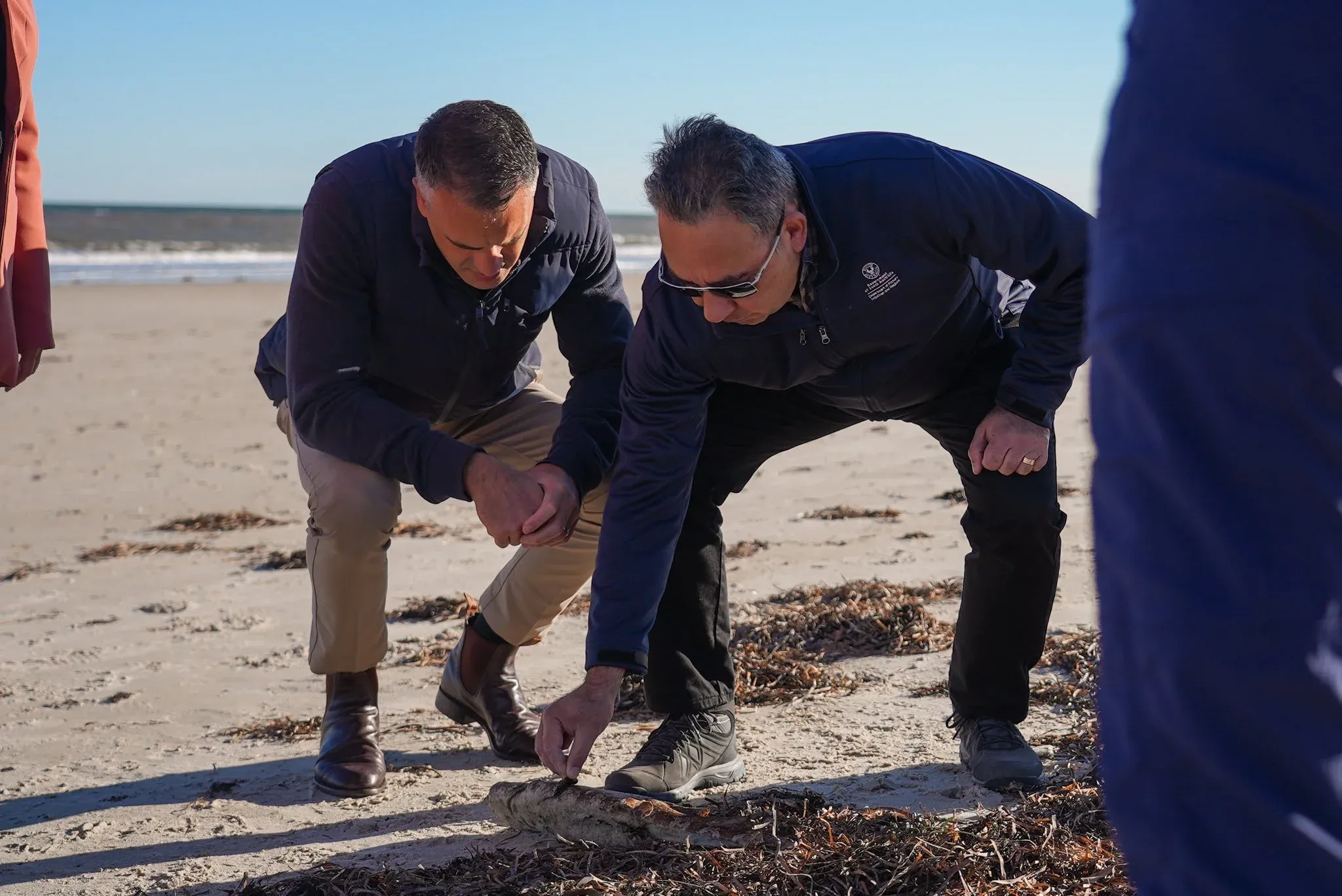 Will the Australian Government Fast-Track the Assessment of the Toxic Algae Outbreak on Marine Species?