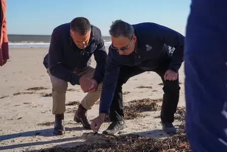 Will the Australian Government Fast-Track the Assessment of the Toxic Algae Outbreak on Marine Species?