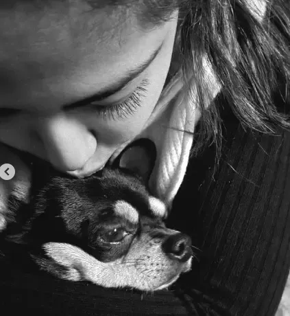 अविका गौर ने साझा किया कैसे एक बिल्ली ने उनके दिल को फिर से संजोया