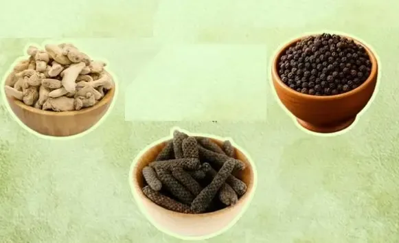 क्या आयुर्वेद का अनमोल सूत्र 'त्रिकटु' कई मर्ज की दवा है?