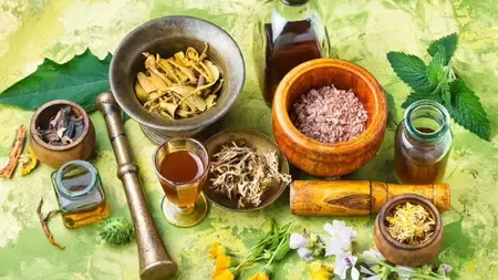 How Did Ayurveda Day Evolve into a Global Health Movement?
