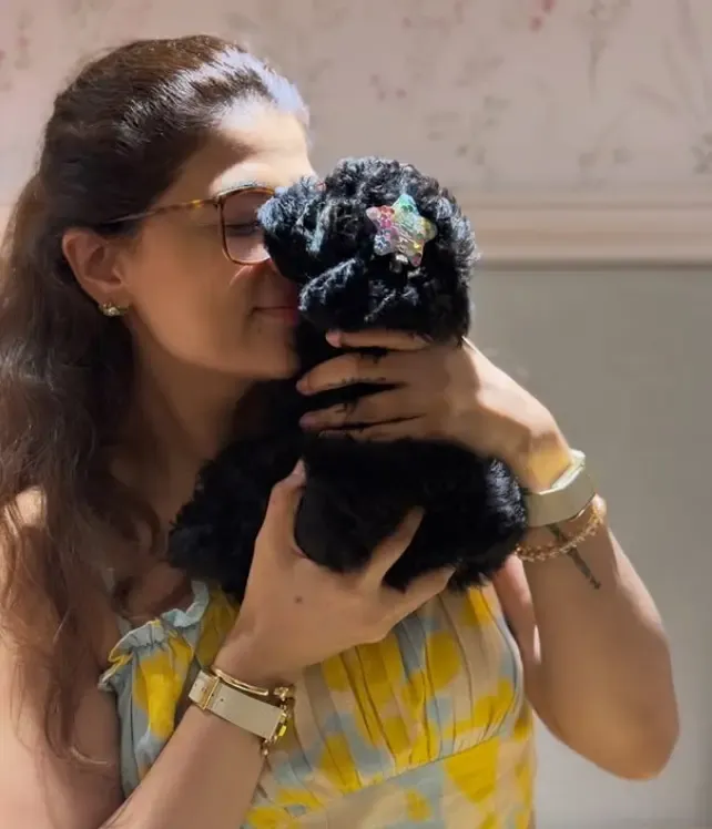 Meet Imli: Ayushmann Khurrana and Tahira Kashyap's New Toy Poodle
