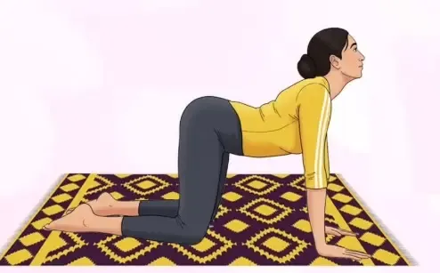 क्या कमर, गर्दन और कंधों के दर्द से परेशान हैं? मार्जरी-बिटिलासन है समाधान