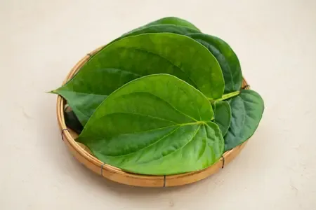 पान का पत्ता बढ़ते यूरिक एसिड को कंट्रोल करने में मददगार, सूजन और मसूड़ों के दर्द में दिलाता है राहत