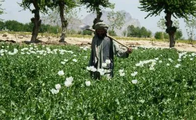 Balochistan chaos lets ISI expand poppy trade targeting India