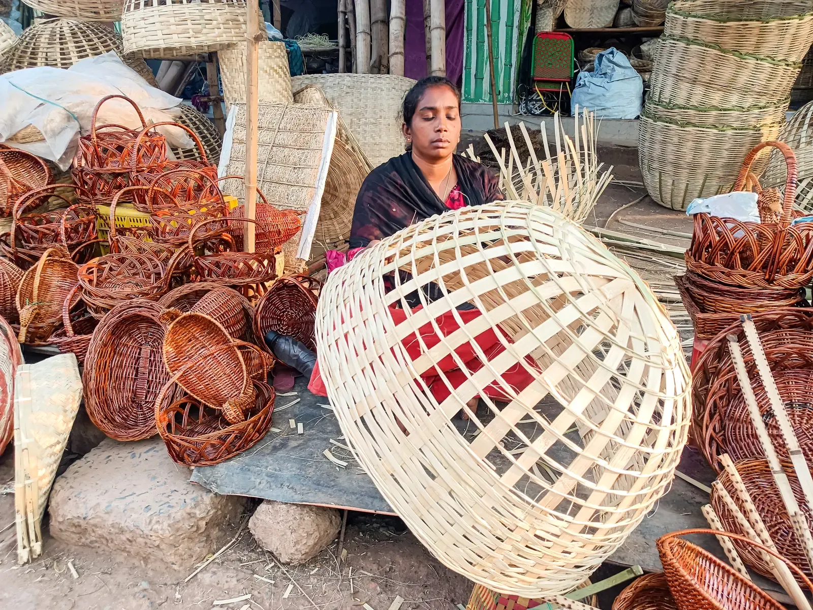 Bamboo sector reforms boost innovation, create 30 million man-days yearly