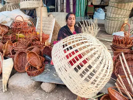 Bamboo sector reforms boost innovation, create 30 million man-days yearly